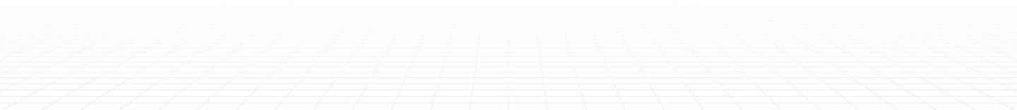 Lower Grid